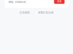 宝马X1 深圳罗湖补贴数字人民币消费红包，有车友知道怎样消费吗？，或者直接兑现的？