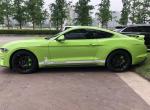 福特Mustang 掠光绿还能买到吗？